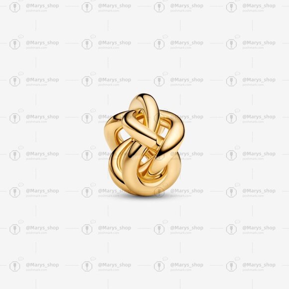Pandora Infinity Knot Charm - Picture 1 of 5